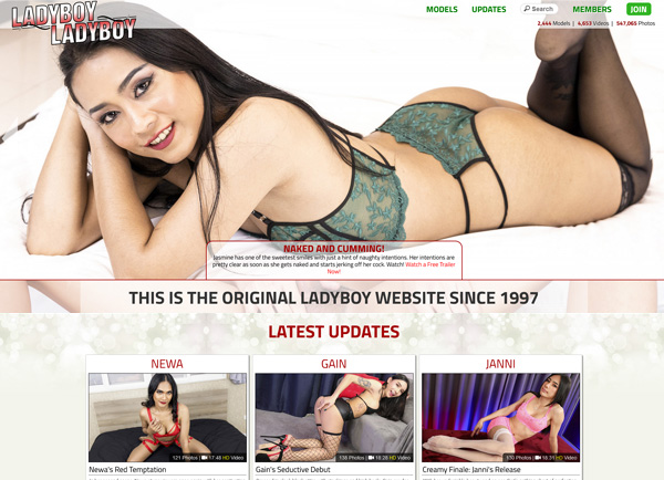 Asian Ladyboy American - Asian TGirl: A Huge Ladyboy Porn Megasite!